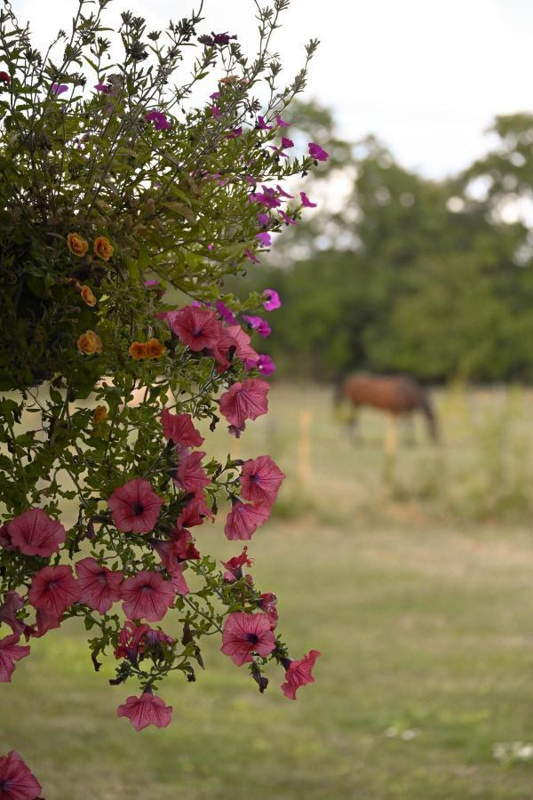 Sweet Pea Cabin Badsey Luaran gambar